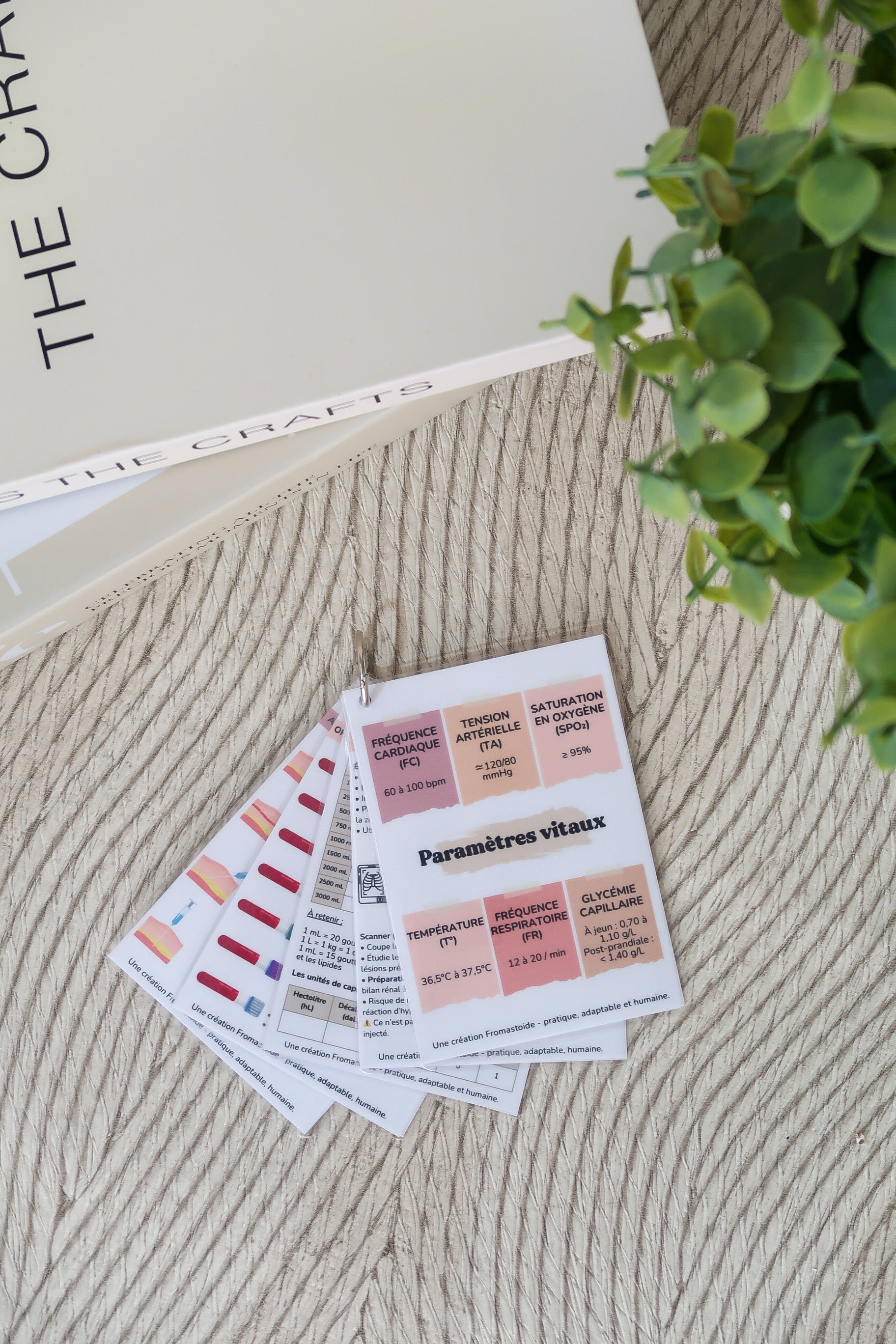 Pack 4 - Fiches pratiques et repères