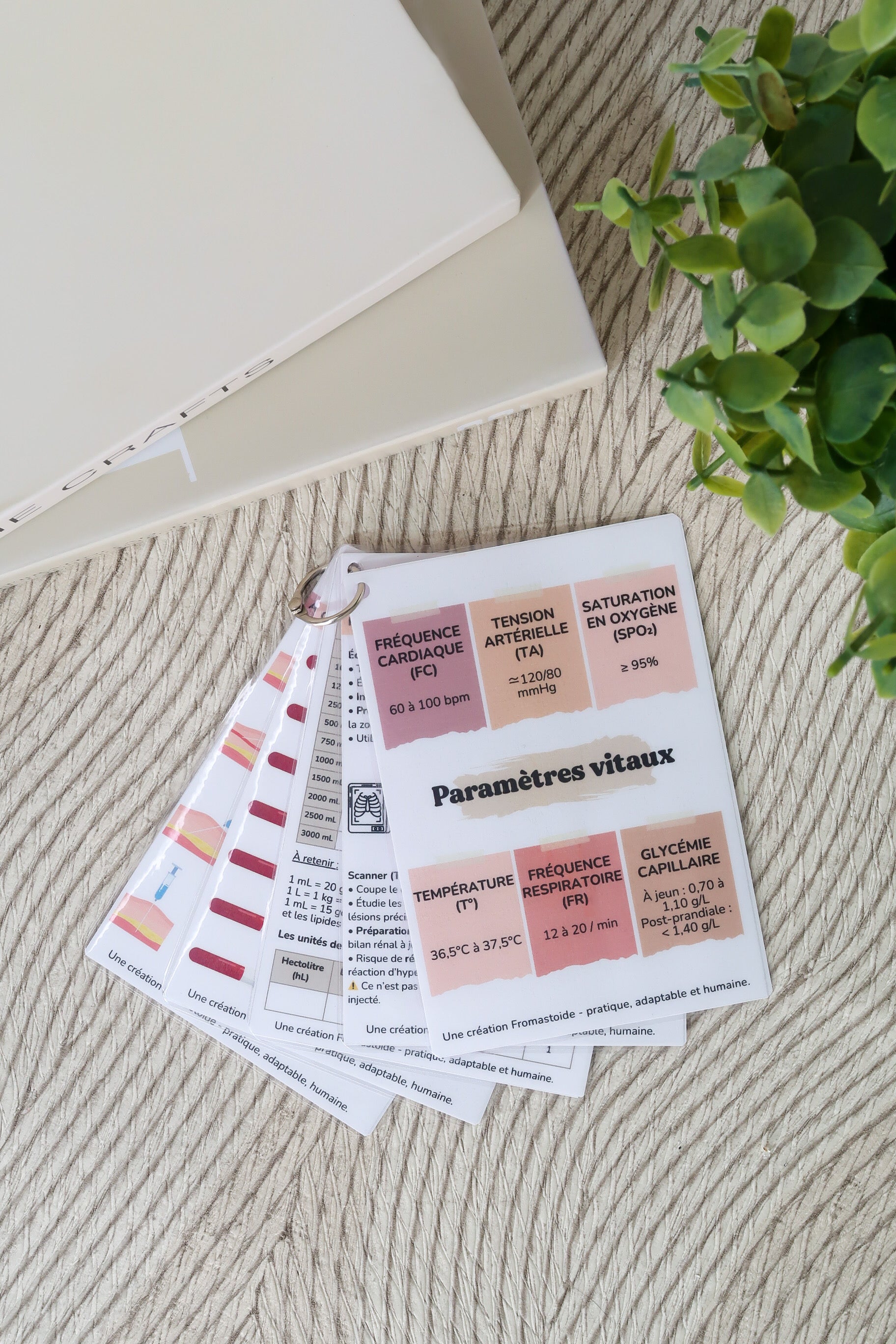 Pack 4 - Fiches pratiques et repères