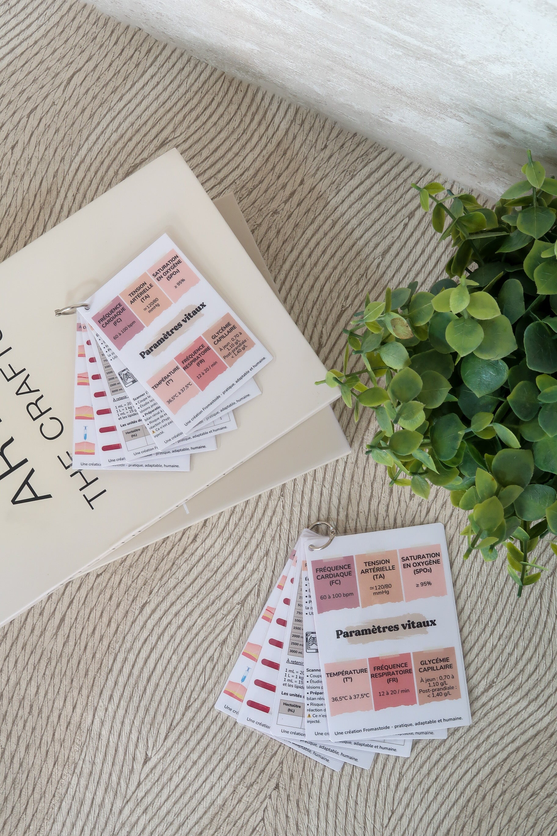 Pack 4 - Fiches pratiques et repères