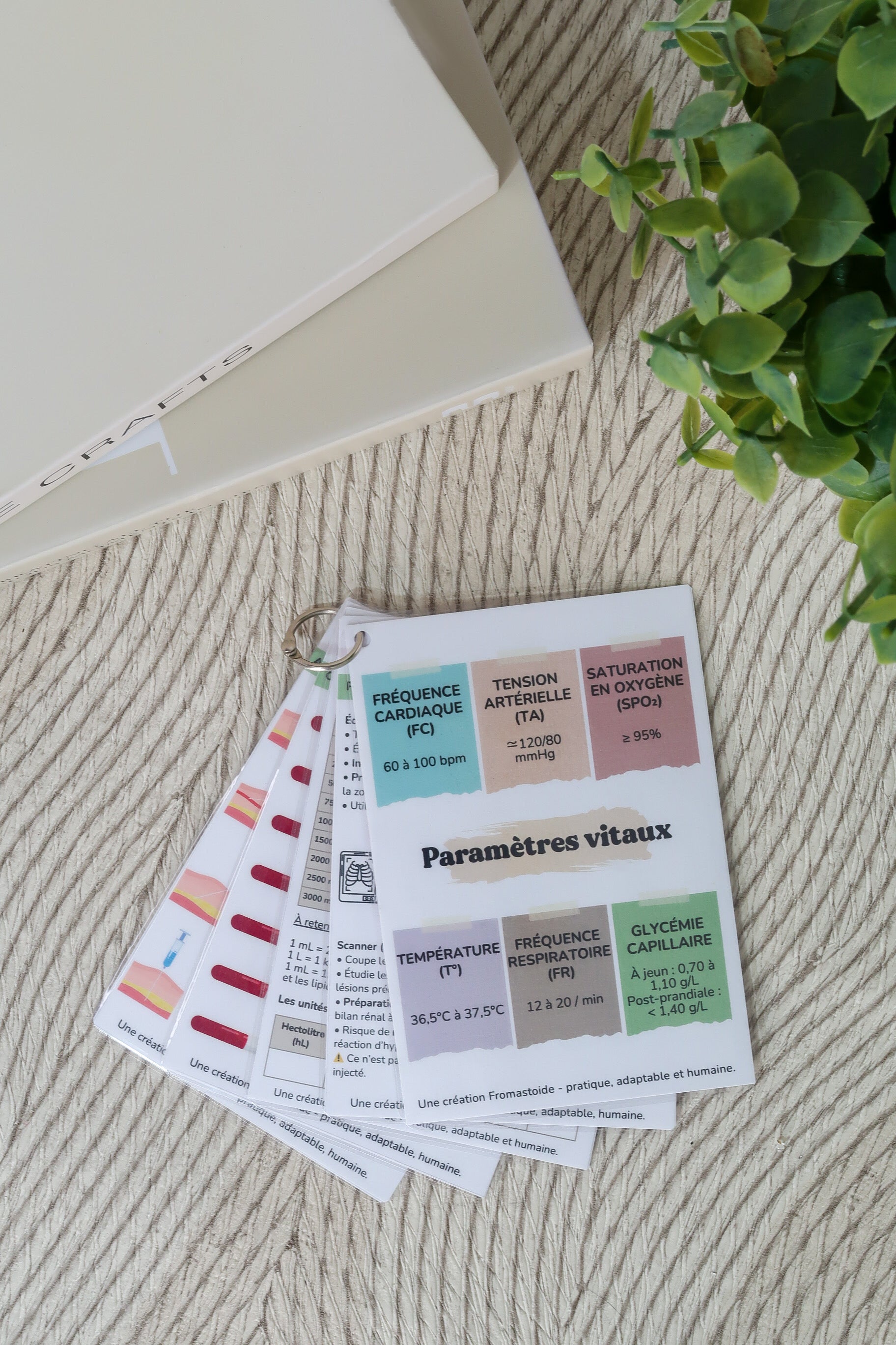 Pack 4 - Fiches pratiques et repères