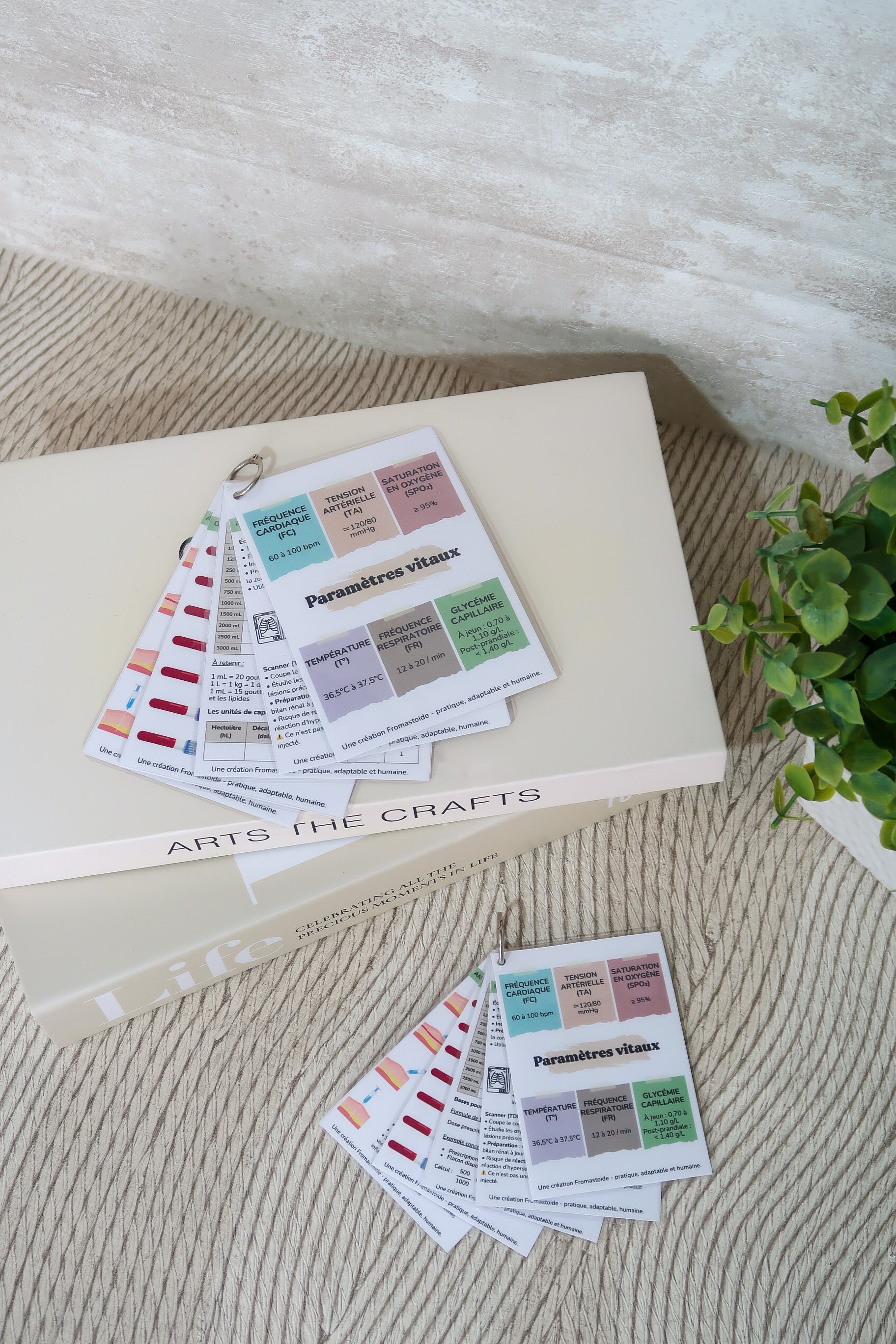 Pack 4 - Fiches pratiques et repères