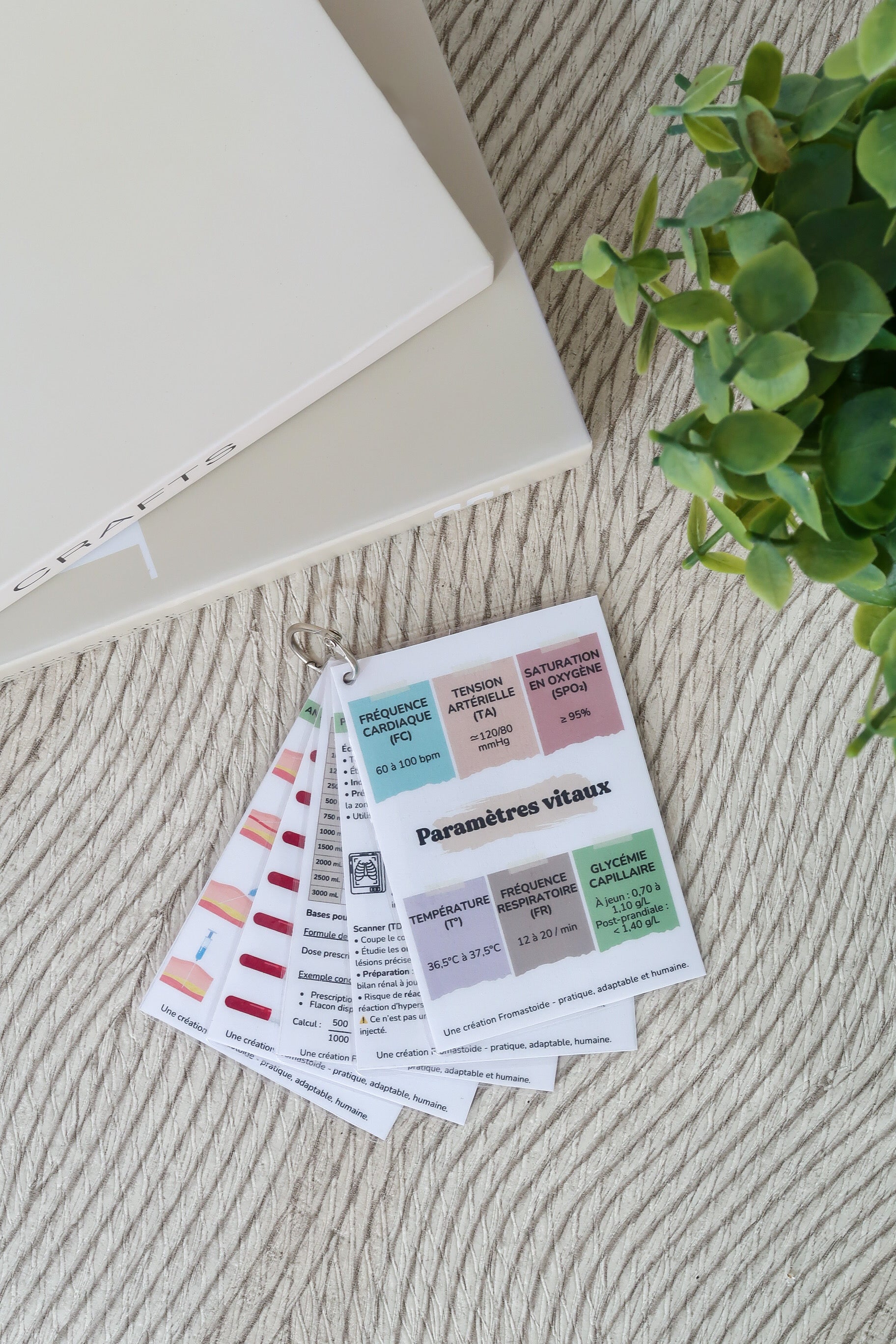 Pack 4 - Fiches pratiques et repères