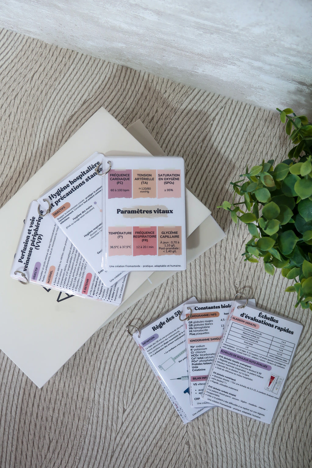 Pack intégral - 30 fiches essentielles